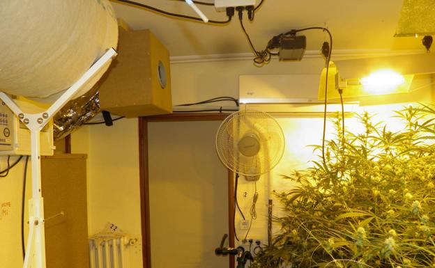 El apuñalamiento a un joven en la calle destapa un narcopiso en Vitoria