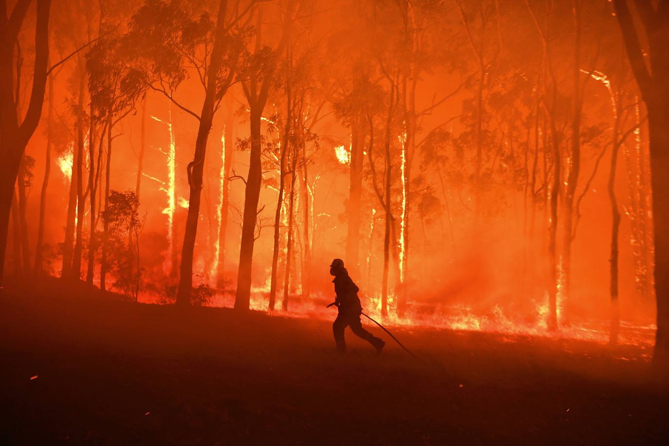 Australian 2019an eta 2020an izandako sute etengabeek Ozeano Artikoan algak ugaritzea eragin dute