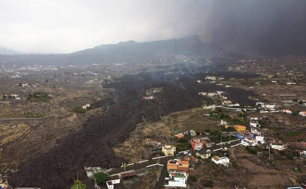 Destrucción total del suelo y la biodiversidad por la colada