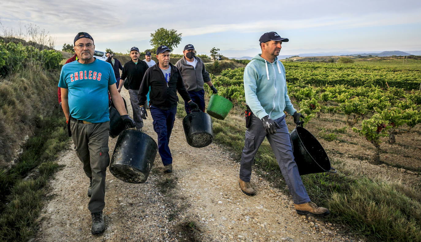 Rioja Alavesa y Jaén se dan la mano