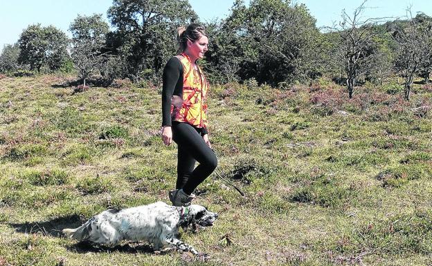 El coto de Kuartango ofrecerá caza sin muerte de becada, perdiz, liebre y conejo