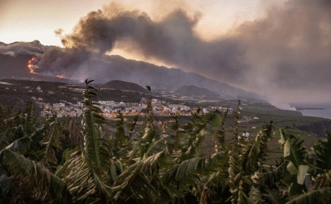 La lava del volcán llega al mar diez días después de su estallido - Vimarsana News