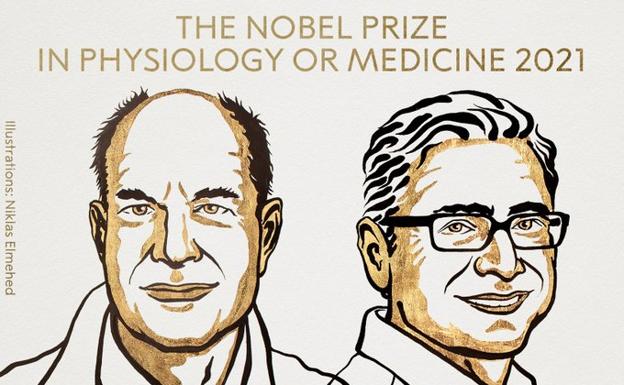 David Julius y Ardem Patapoutian, Nobel de Medicina por sus hallazgos en el sistema nervioso