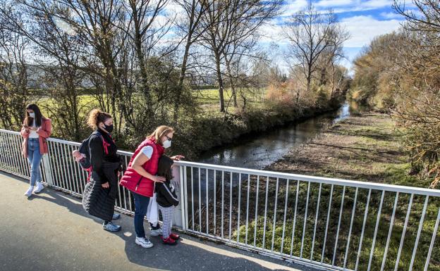 URA deberá reponer 120 árboles dañados en la obra antirriadas del Zadorra