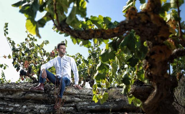 «La uva tiene una calidad excelente, se pueden hacer vinos interesantes»