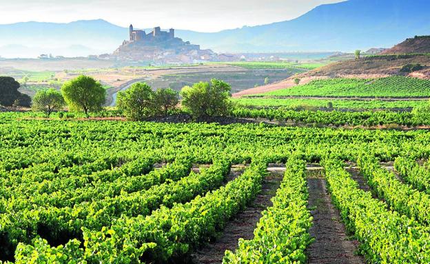 Álava no ve «ningún sentido» a la línea de alta tensión que cruzará de Labastida a Vitoria