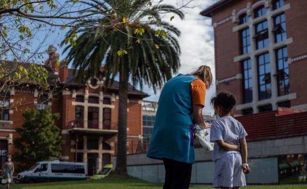 «Las palmeras no son árboles» y otras curiosidades de la flora del hospital de Basurto