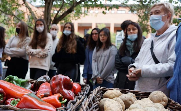 El producto local se reivindica como el más ecológico y saludable