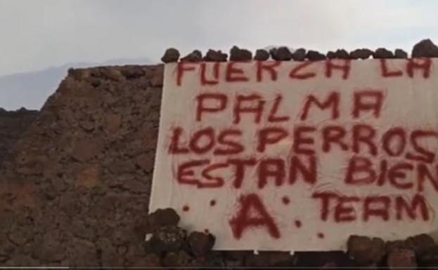 Los derechos de los drones