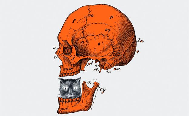 La muerte: del manejo del terror a la aceptación