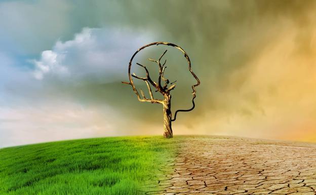 La urgente neutralidad climática