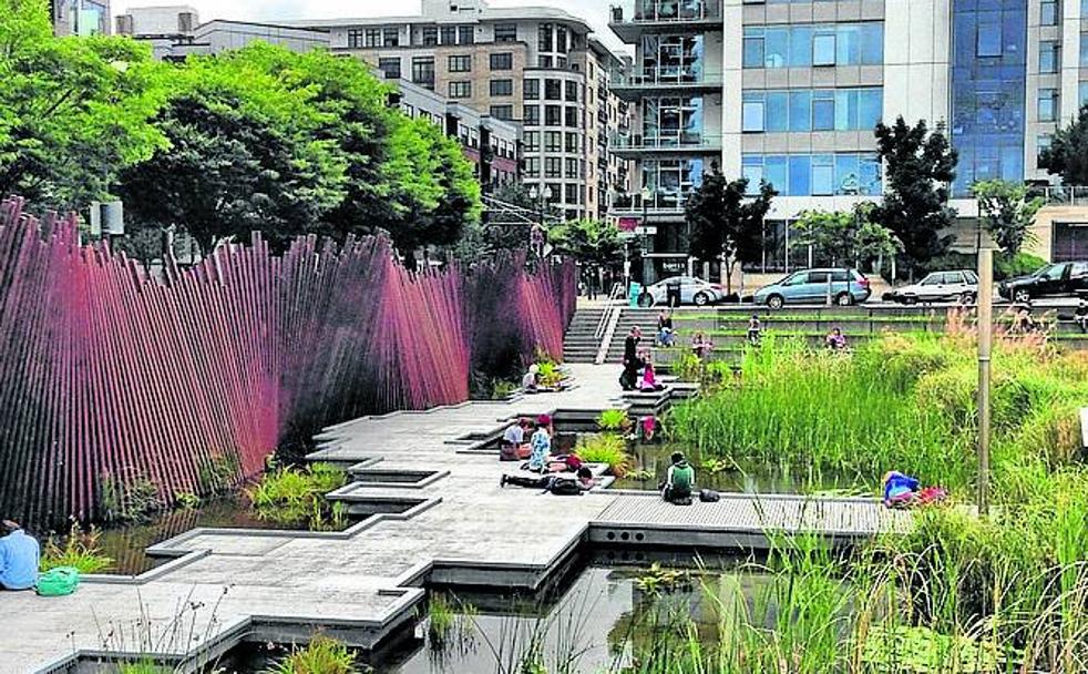 La silenciosa contribución de los espacios verdes frente al cambio climático