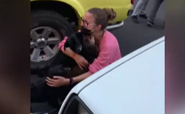 El emotivo reencuentro de una familia de La Palma con sus perros perdidos tras la erupción del volcán