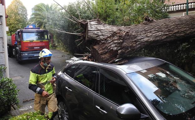 Un árbol cae sobre un coche en Las Arenas