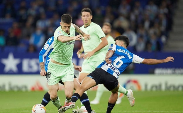 Cuatro jugadores del Athletic, en la lista de la sub'21 de Luis de la Fuente