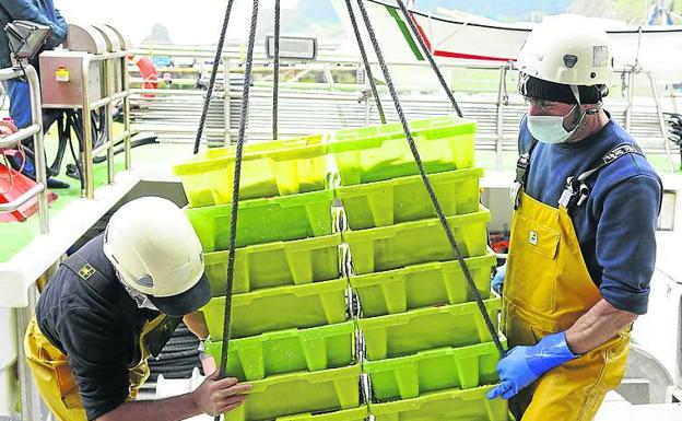 «Latinoamérica es la estrella de la migración en Bizkaia»