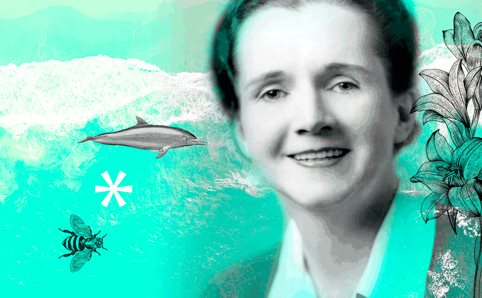 Rachel Carson La Bióloga Marina Que Despertó La Conciencia Ambiental