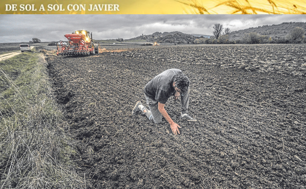 Quien bien ara, bien segará