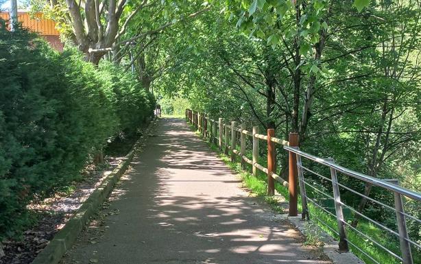 El Ayuntamiento de Basauri arreglará a comienzo de año el paseo de la 'rana'