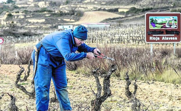 El PNV lleva al Congreso su plan para crear una denominación alavesa dentro de Rioja
