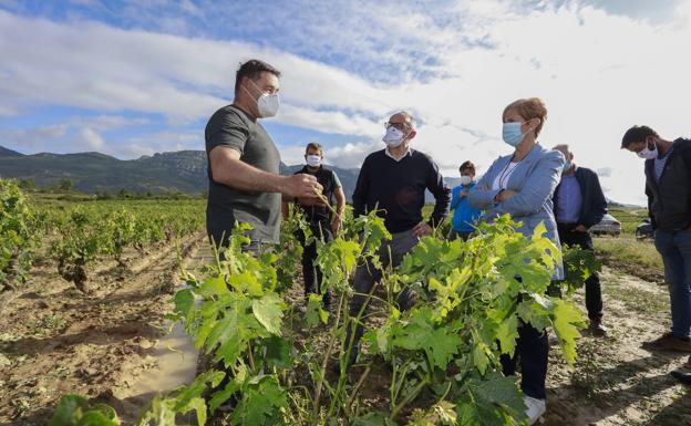 Rioja ve una «amenaza» en el plan del PNV de crear una denominación alavesa y González dice que «no rompe nada»