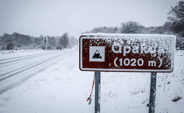 Directo | El Nervión y el Cadagua se desbordan en Basauri, Balmaseda, Sodupe y Zorroza