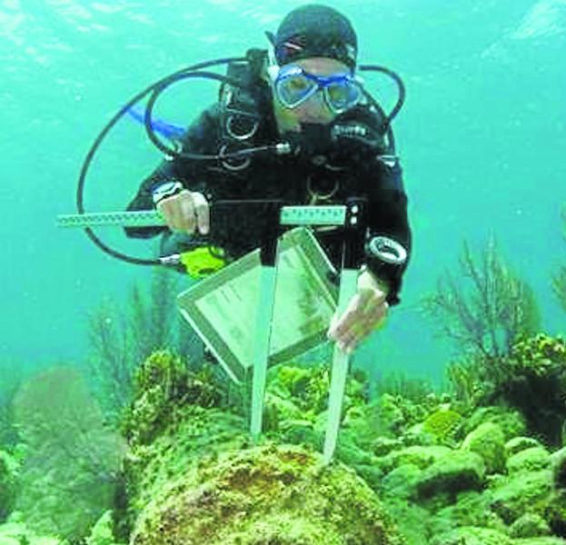 El galeón de Hondarribia codiciado por los cazatesoros