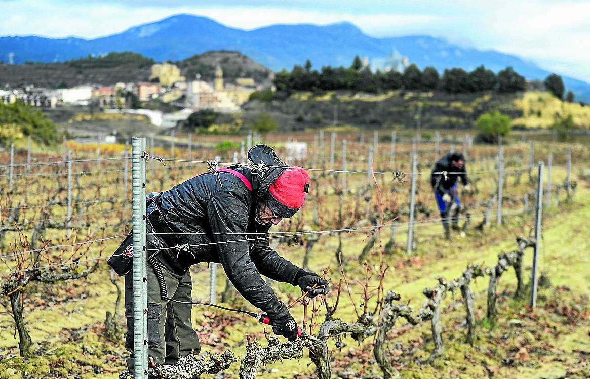 «Si un joven no tiene tierras heredadas, no puede poner en marcha un proyecto»