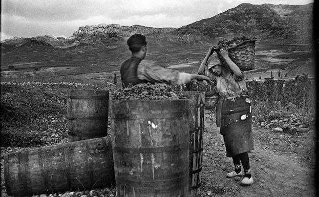 Un siglo de conflicto por la denominación de origen Rioja