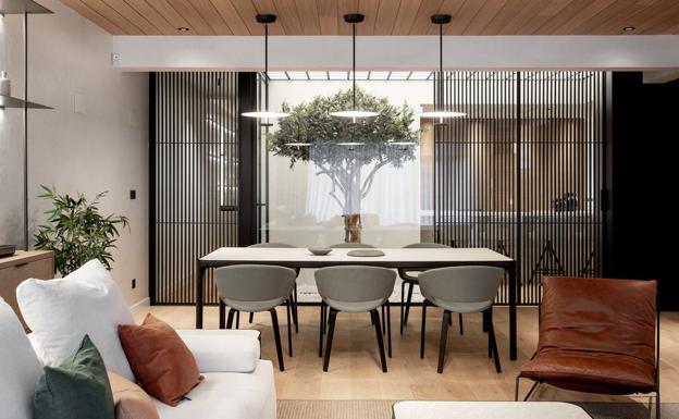 Cómo un gran olivo en un patio interior ha transformado este piso oscuro de Bilbao