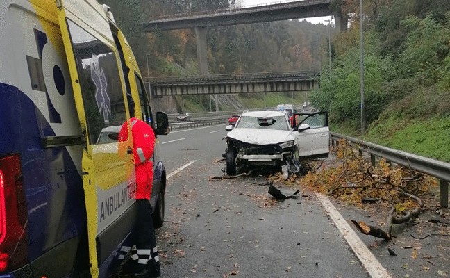 Disminuyen las retenciones en el Txorierri tras caerse un árbol sobre la calzada y golpear a un vehículo