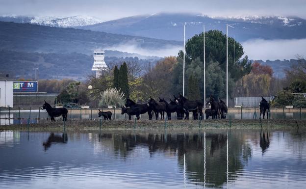 Sol y máximas de 12 grados este domingo en Vitoria