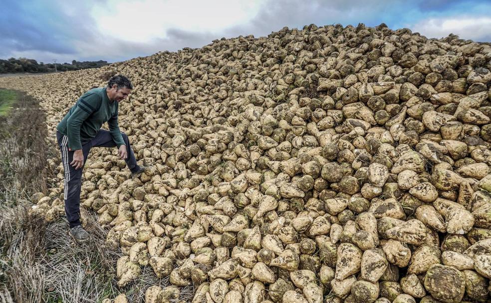 El fin del año más incierto para el campo alavés