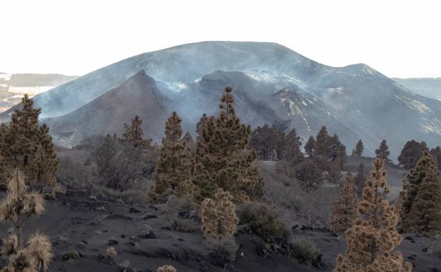 El volcán de La Palma continúa sin actividad