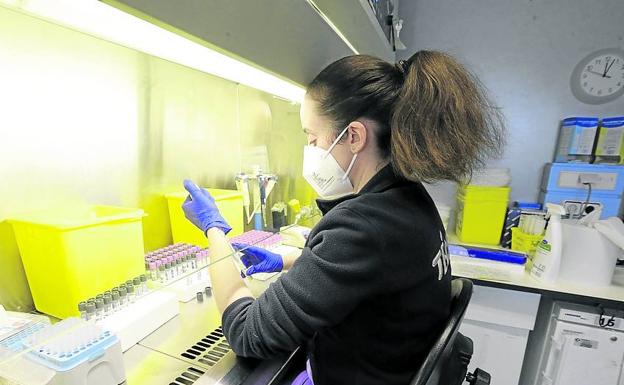 Los expertos manejan dos hipótesis sobre el origen de la cepa ómicron