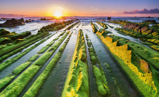 Rutas por acantilados, naturaleza y tiendas singulares en Bizkaia