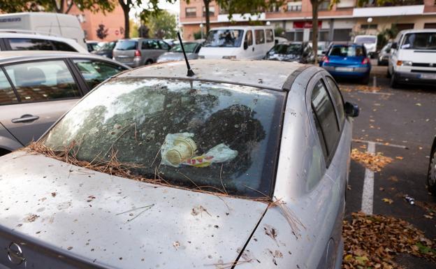 Multas de hasta 3.000 euros por llevar el coche sucio o con nieve