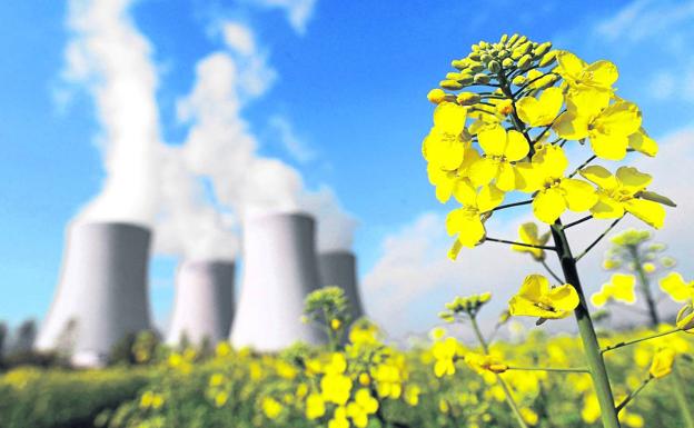 ¿Es la nuclear una energía verde?