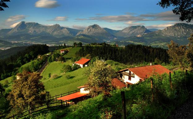 Garai se decanta por la reforestación para hacer frente al cambio climático