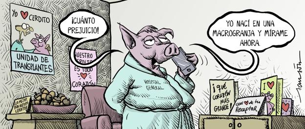 La viñeta de Sansón