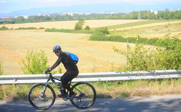 Urtaran suspende las licencias urbanísticas de Uleta para enterrar la construcción de casi 300 chalés