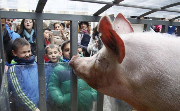 Estos son los ganadores de la rifa de San Antón de 2022