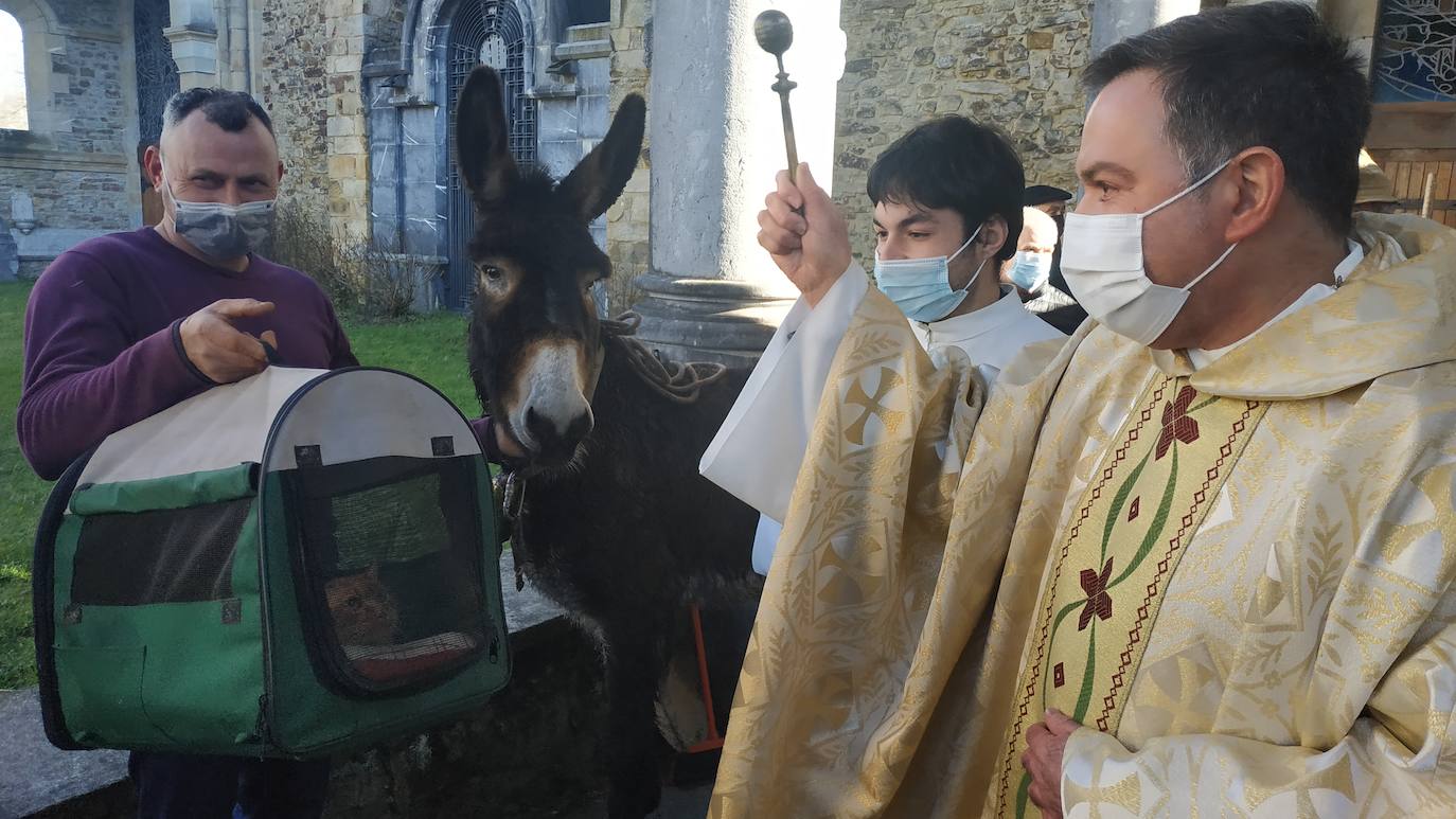 Urkiola revive con la afluencia de fieles y mascotas para celebrar San Antonio Abad