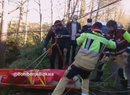 Así fue el rescate de un mastín en un río de Gernika: en tirolina y camilla
