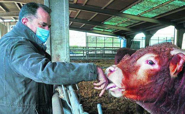 Iturgaiz carga contra los jeltzales por apoyar a Garzón en la polémica de la carne