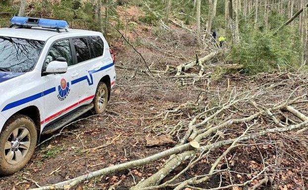 Muere un trabajador forestal en Pipaón al caerle la rama de un árbol