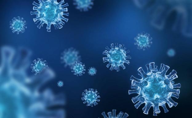 Anticuerpos facilitantes