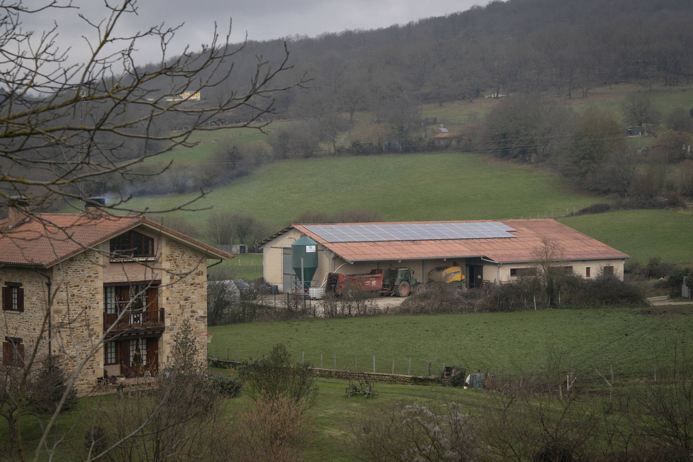 Maider, una ganadera de sol a sol