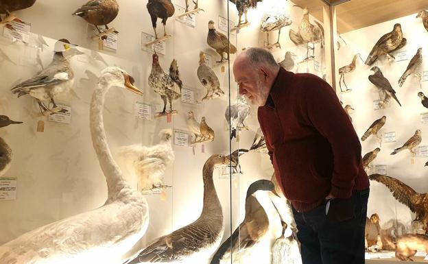 Especies exóticas a los pies de Urkiola