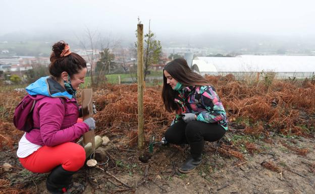 Las familias de Urduliz ponen en marcha un bosque autóctono en Santa Marina